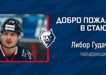 THE NEFTEKHIMIK HAVE SIGNED FORWARD LIBOR HUDACEK!