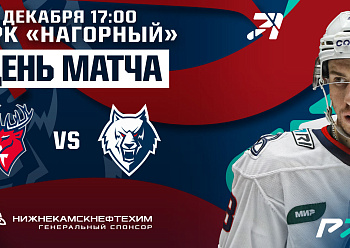 Torpedo vs Neftekhimik 12/24/2022