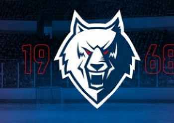 Statement of the HC «Neftekhimik»