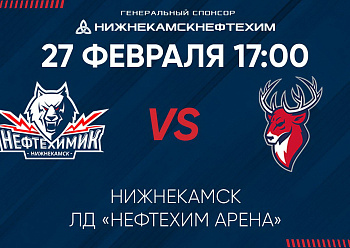 GAME #4 BETWEEN «NEFTEKHIMIK» AND «TORPEDO»