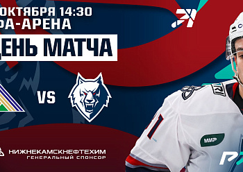 Salavat Yulaev vs Neftekhimik 10/15/2022