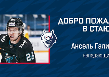 THE NEFTEKHIMIK HAVE SIGNED FORWARD ANSEL GALIMOV!